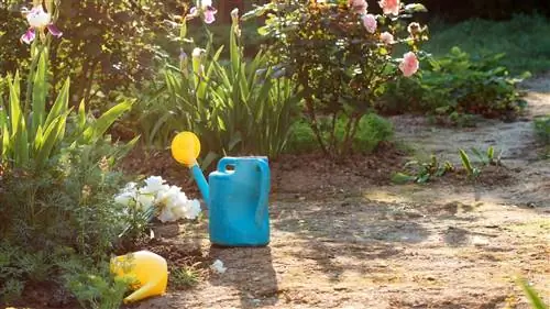 Как определить воздействие солнца на свой сад