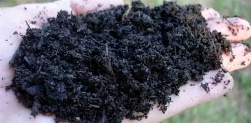 95 предметов, которые можно компостировать