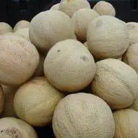 Канталупа для продажи на фруктовом киоске