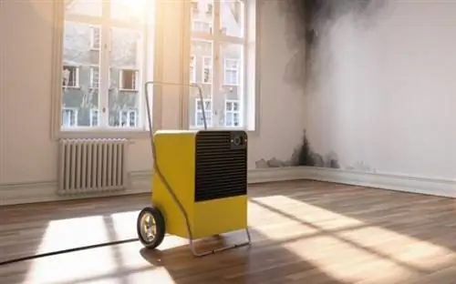 Проветривание плесени