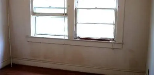 Является ли проверка на наличие плесени мошенничеством или оно того стоит?