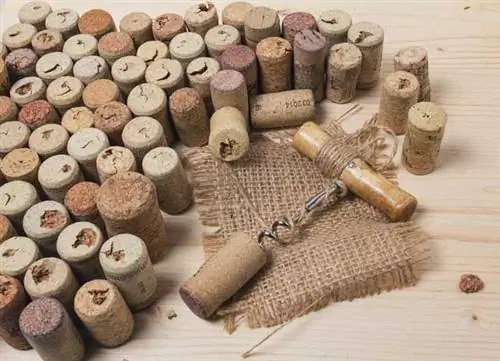 Штопор и пробка для бутылок