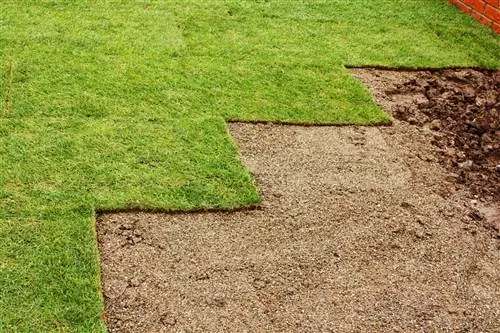 свежеуложенный газон в саду жилого комплекса