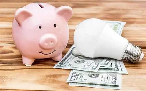 Светодиодная лампочка рядом с копилкой желает денег на стороне