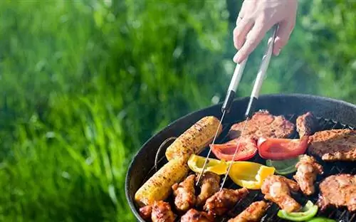 Кукуруза на гриле в початках и барбекю на улице