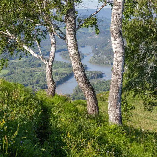 Источник изображения: Канва