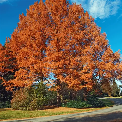 Источник изображения: Канва