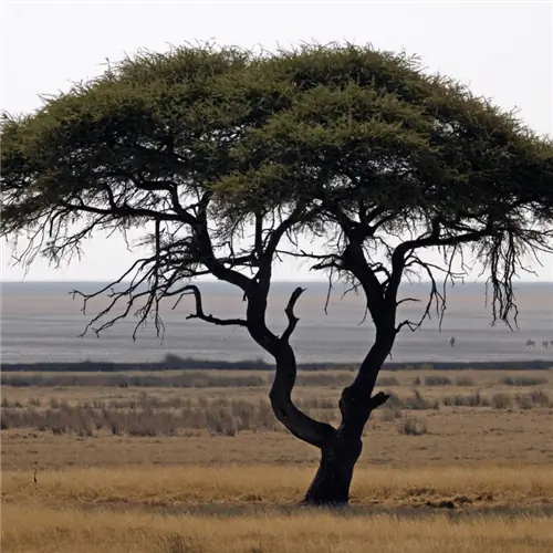 Источник изображения: Канва