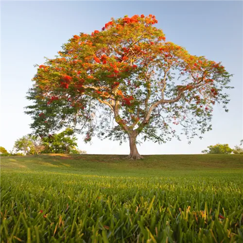 Источник изображения: Канва