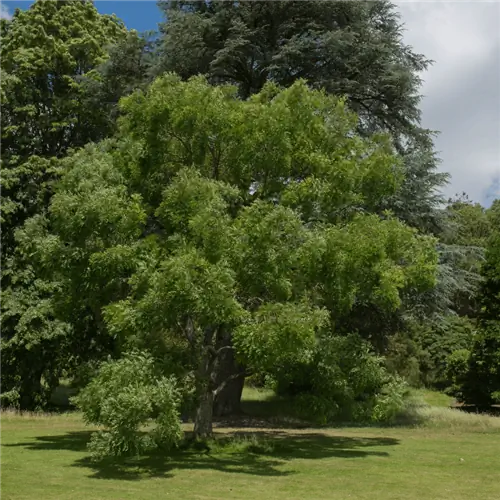 Источник изображения: Канва