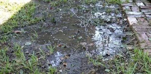 Устранение проблем дренажа фундамента с помощью французского дренажа