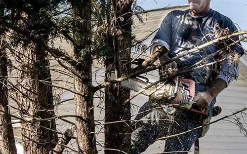 Мужчина обрезает ветку дерева возле крыши своего дома