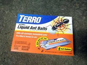 Обзор Terro Ant Bait [Лучшие альтернативы?]