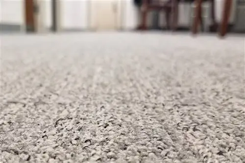 Lifeproof Carpet vs Stainmaster: какой ковер работает лучше?
