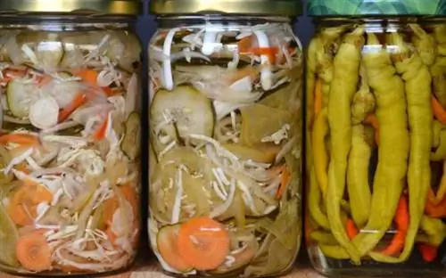 Банки с маринованными огурцами, морковью, капустой и перцем.