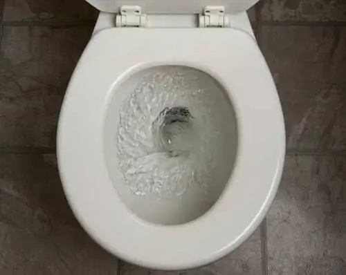 Слив воды из туалета Слив воды из туалета