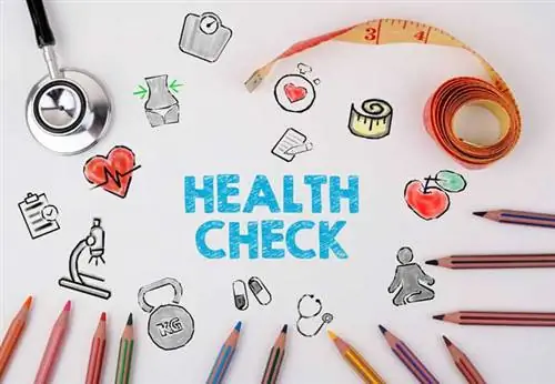 Проверка здоровья