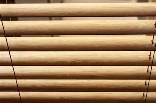 Жалюзи и шторы: в поисках лучшей оконной обработки