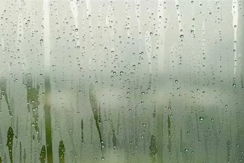 Конденсат на потолке и как его устранить