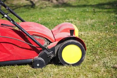 Вертикуттерная машина