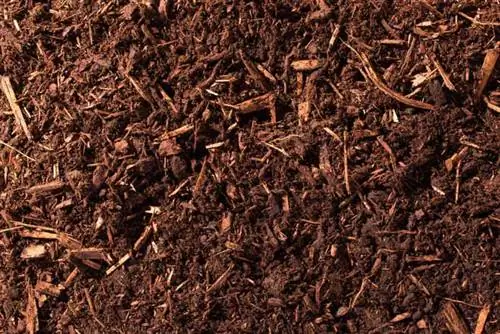 Крупный план мульчи