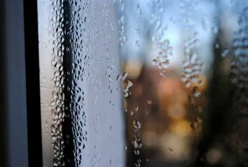 На окне виден сильный конденсат