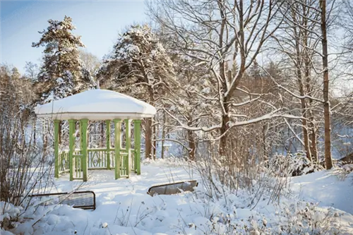 10 идей зимнего ландшафтного дизайна, которые украсят ваше открытое пространство