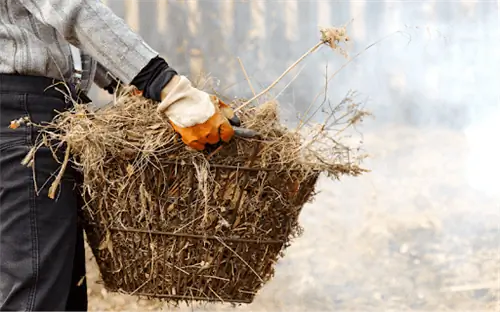 садовник с корзиной, полной мертвых растений