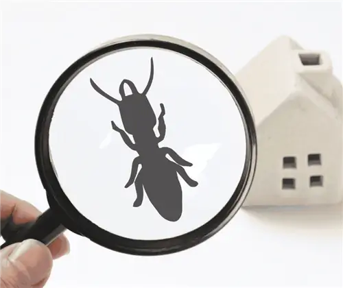 Руководство вегана по борьбе с садовыми вредителями