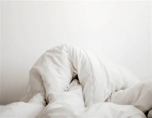 Что такое стандарт ответственности и почему меня это должно волновать?