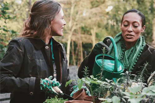 Как подготовить свой сад к зиме