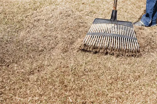 удаление соломы с газона
