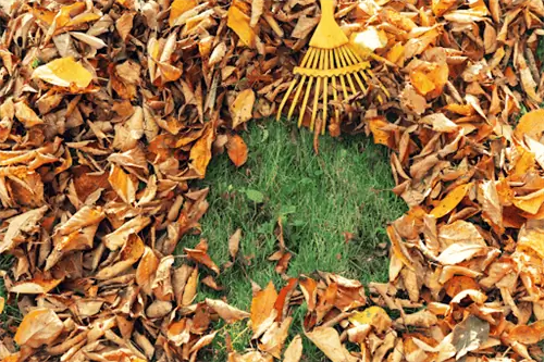 8 проектов по осеннему уходу за газоном, которые нужно завершить до первых заморозков