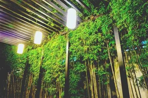 Солнечные огни