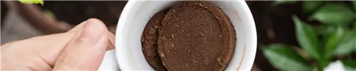 Использование кофейной гущи поможет или навредит вашему саду?