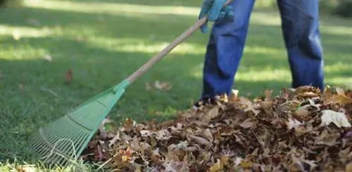 Сгребание листьев сжигает калории.