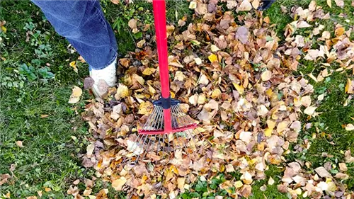 6 советов, как облегчить грейдинг