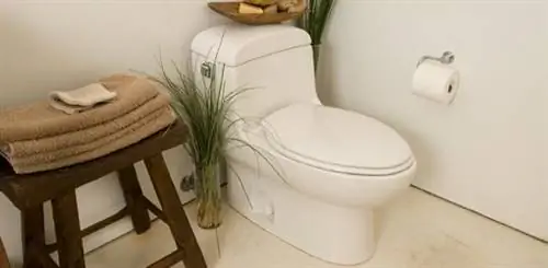 Цельный унитаз с низким профилем.