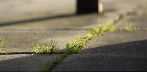 Бетонная дорога