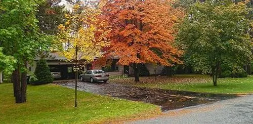 Асфальтовая дорога