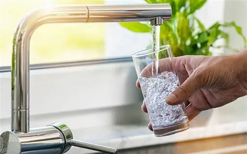 Рука держит стакан воды под краном