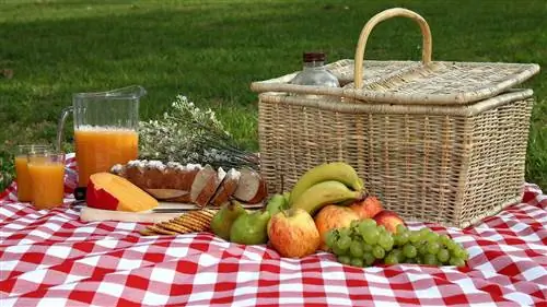 3 самодельных проекта для идеального пикника
