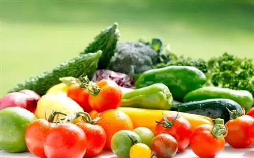 Помидоры Огурцы Кабачки