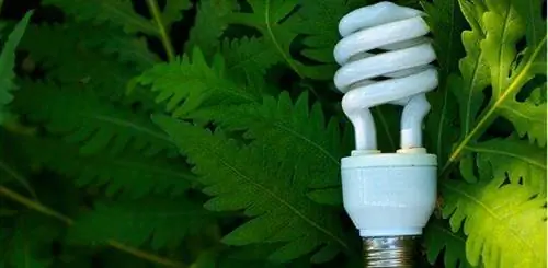 Лампы компактных люминесцентных ламп: блестящая идея для перехода на экологичный режим