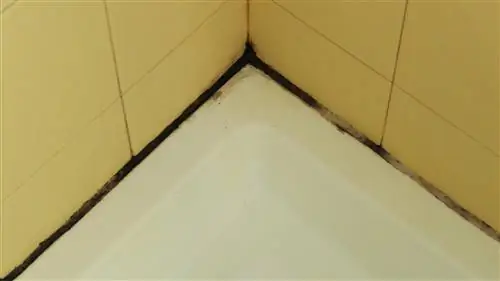 5 шагов, чтобы предотвратить плесень, грибок и отслаивающуюся краску в ванной комнате