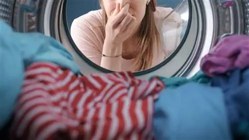 Рыбный запах & 7 других домашних запахов, которые могут быть признаками опасности