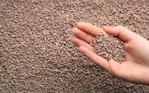 кошачьи отходы