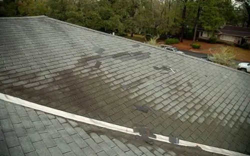 Черепица на крыше