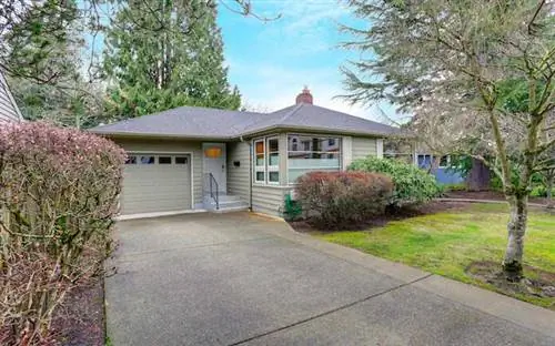 зеленый дом и дорога