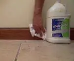 Борьба с плесенью конкробиума